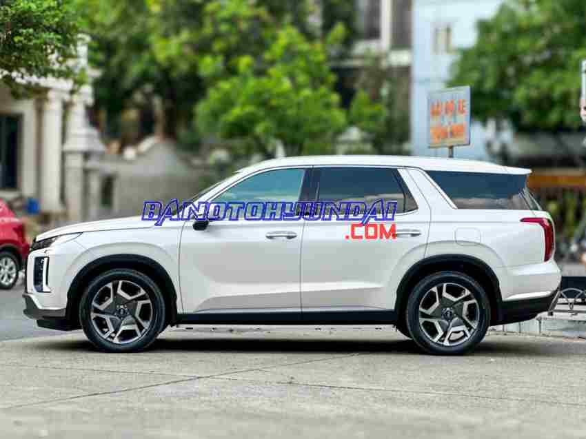 Hyundai Palisade Prestige 2.2 AT HTRAC model 2024 xe chuẩn hết ý