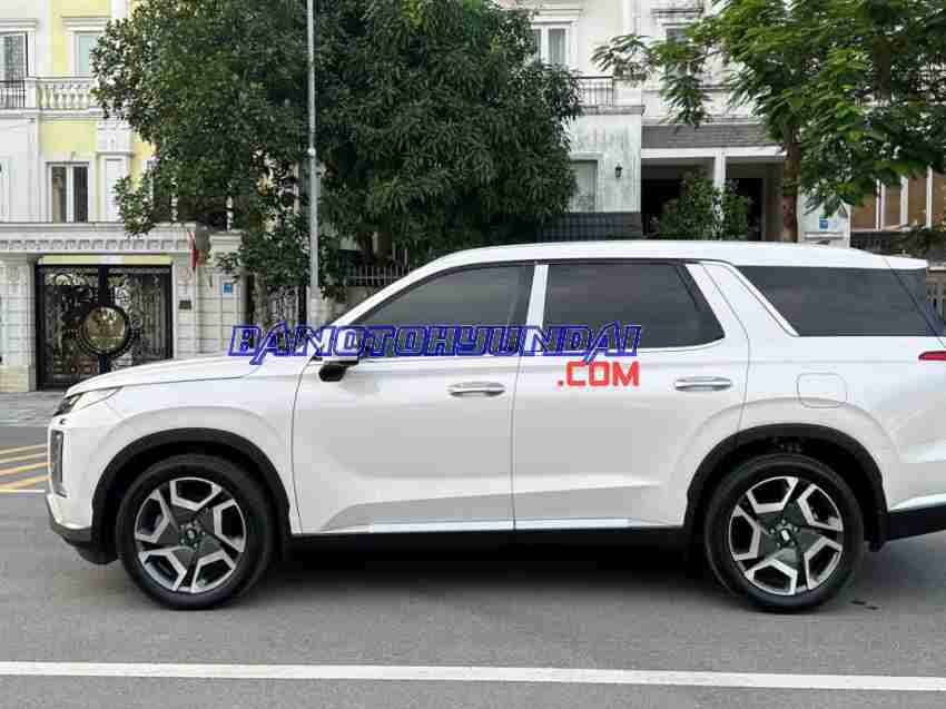 Bán xe Hyundai Palisade Prestige 2.2 AT HTRAC đời 2024 - Giá tốt