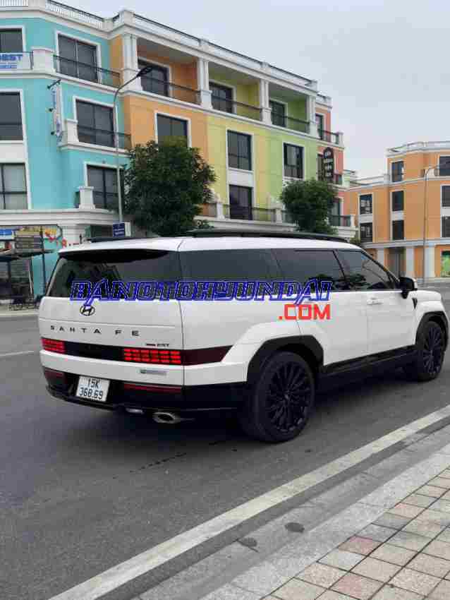 Bán Hyundai SantaFe Calligraphy 2.5L Turbo HTRAC 2024 - giá tốt