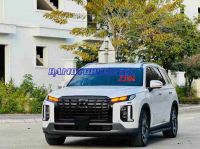 Cần bán xe Hyundai Palisade Prestige 2.2 AT HTRAC đời 2024
