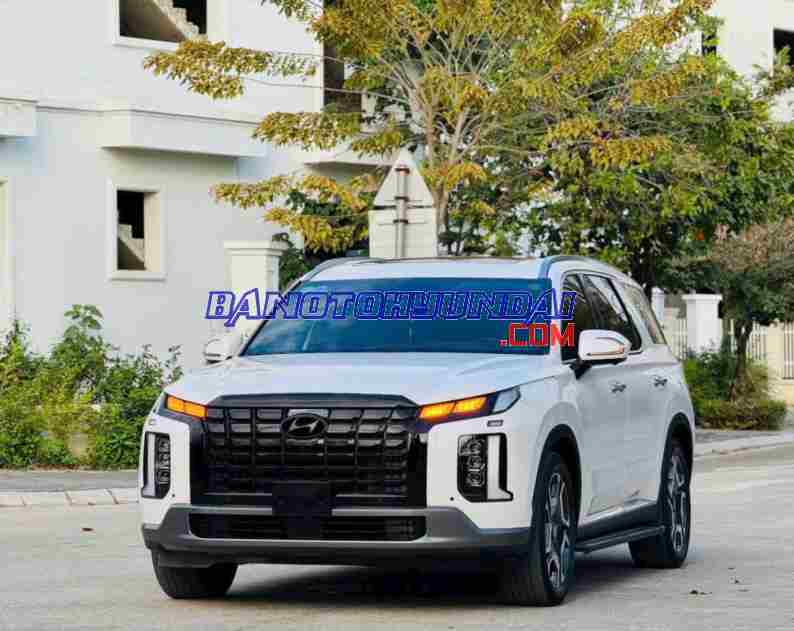 Cần bán xe Hyundai Palisade Prestige 2.2 AT HTRAC màu Trắng 2024
