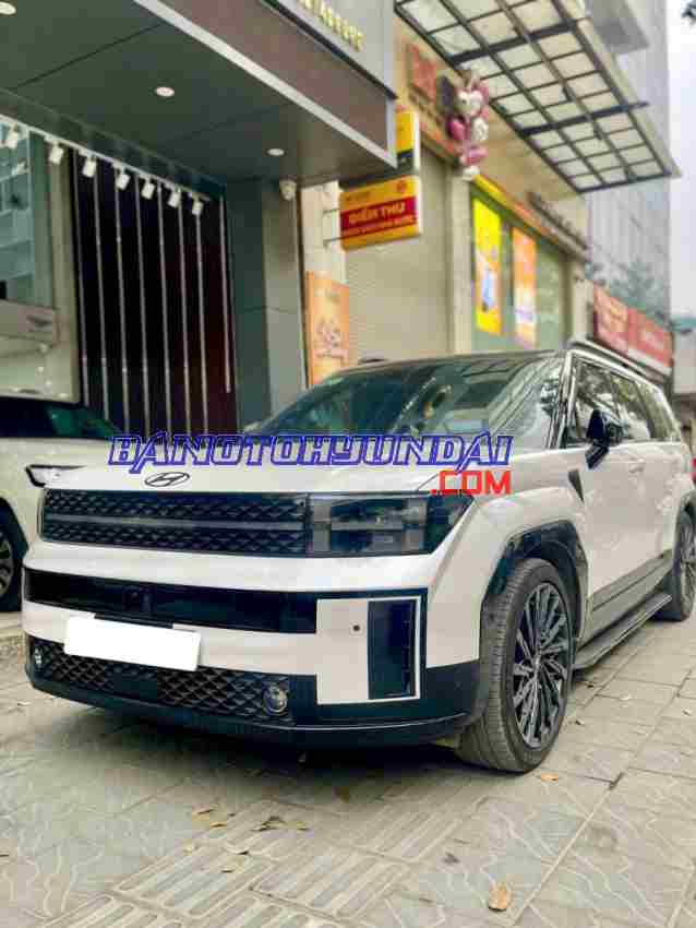 Hyundai SantaFe Calligraphy 2.5L Turbo HTRAC 2024 Máy xăng, xe đẹp