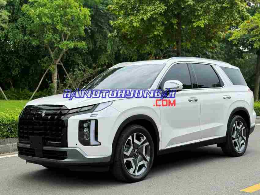 Cần bán Hyundai Palisade Prestige 2.2 AT HTRAC 2024 xe đẹp